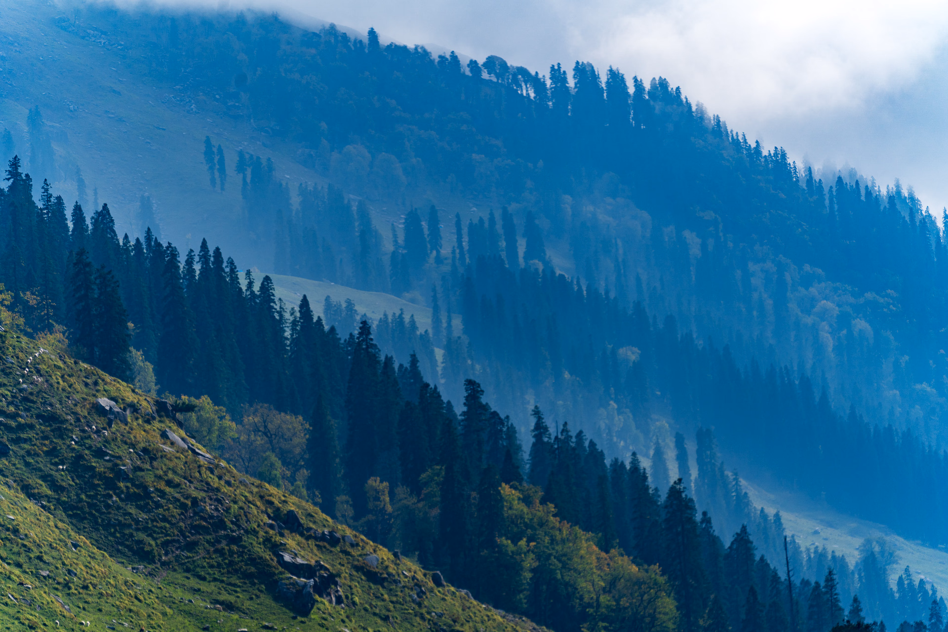 Image from Детски рожден ден album