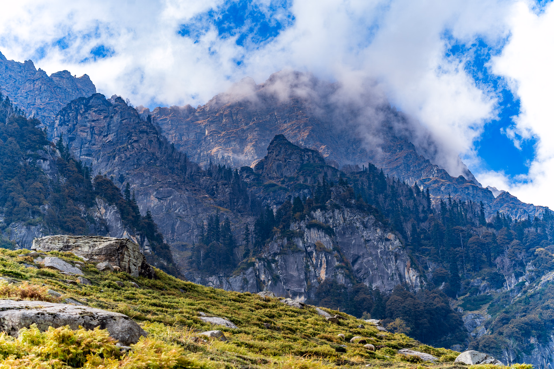 Image from Детски рожден ден album