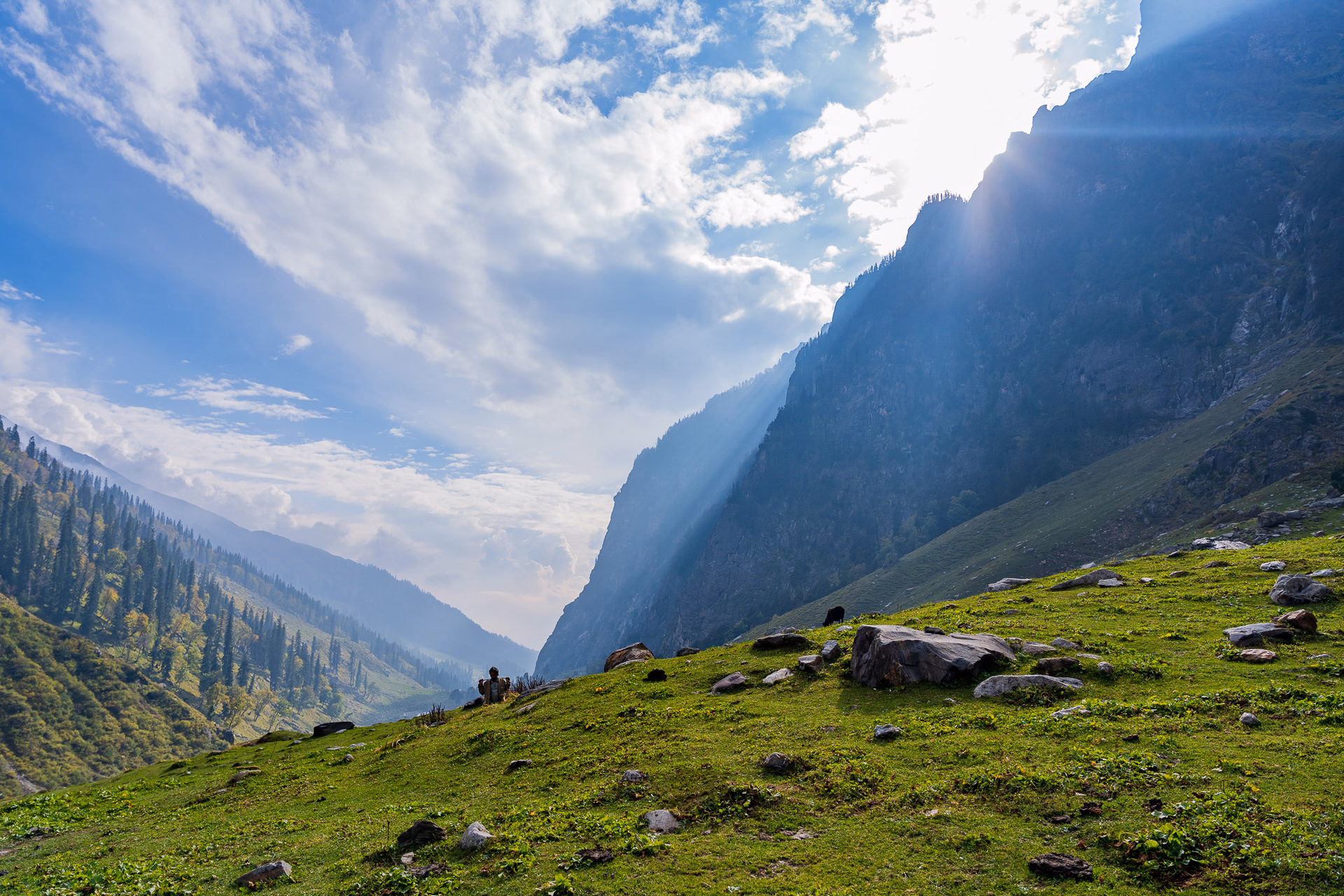 Image from Детски рожден ден album