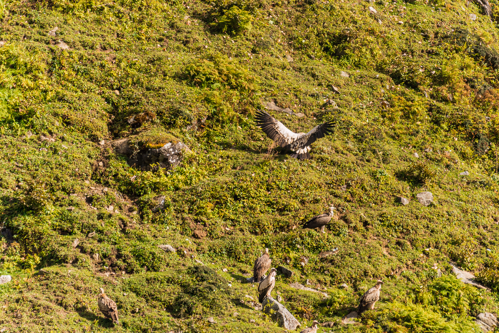 Image from Детски рожден ден album